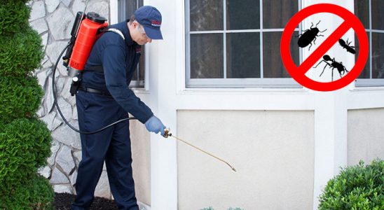 Taşkent Akrep İlaçlama böcek ilaçlama ve haşere kontrolü — ilaclama-tr.com